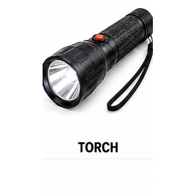 TORCH